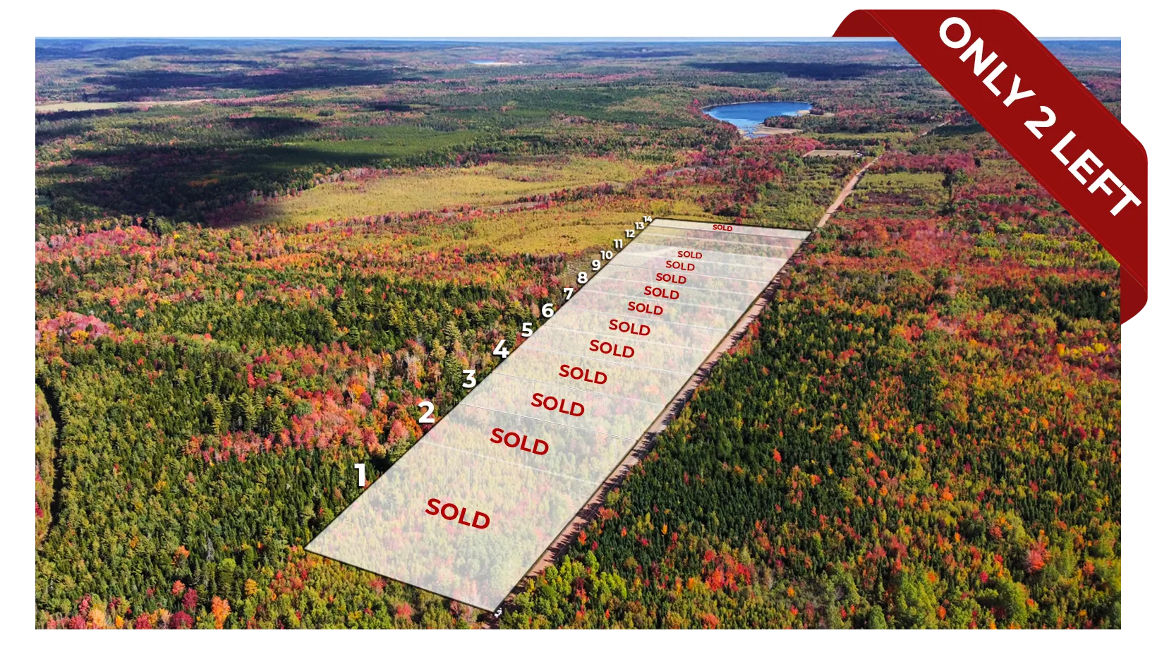 A view of the estate from above